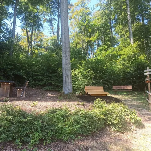 Ein ruhiger Wald-Rastplatz mit Holzsitzgelegenheiten und einem Tisch, umgeben von üppigem Grün und hohen Bäumen.