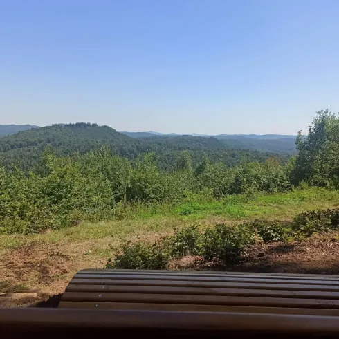 Blick vom Kurzelberg
