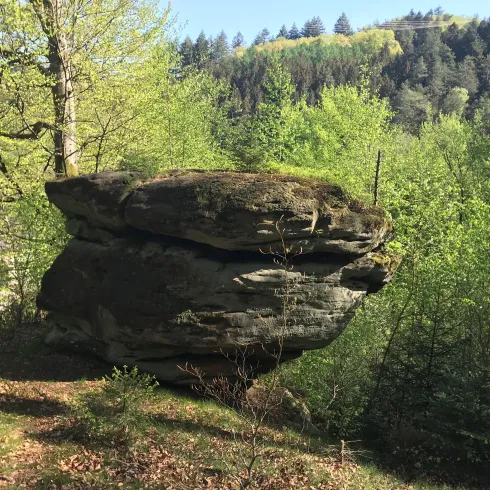Ein großer, flacher Felsen steht inmitten von Bäumen und frischem Grün. Die Szenerie vermittelt eine ruhige, natürliche Atmosphäre.