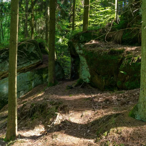 Ein malerischer Waldweg zwischen großen Felsen und hohen Bäumen. Die Sonne scheint durch das Laub und schafft ein ruhiges Ambiente.