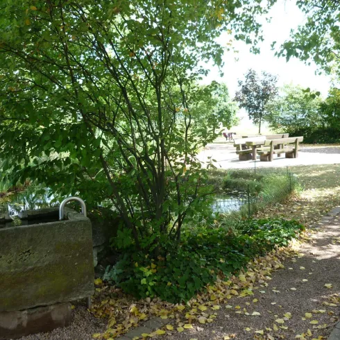 Kneippbecken Bennhausen