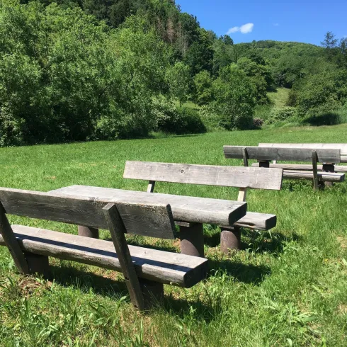 Picknickplatz (© Verein SÜW Annweiler e.V.)