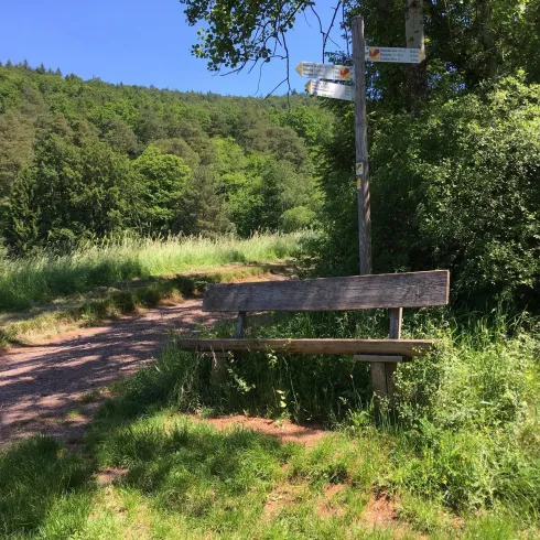 Eine ruhige Bank am Wegesrand, umgeben von grünem Gras und Bäumen. Der Himmel ist klar und blau, ideal für einen kurzen Halt in der Natur.