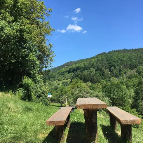 Eine idyllische Aussicht auf grüne Hügel und Wälder. Im Vordergrund steht ein Holztisch mit Bänken auf einer Wiese.