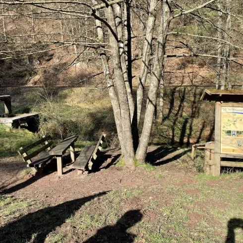 Eine ruhige Waldlandschaft mit einer Sitzgelegenheit aus Holz und einem Informationsschild. Im Hintergrund sind Bäume und sanfte Hügel zu sehen.