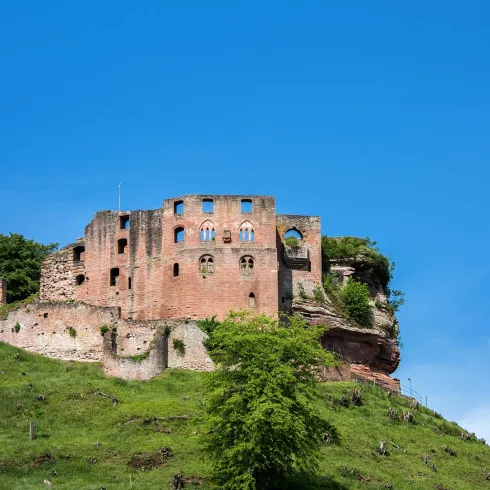 Eine alte Burg steht auf einem Hügel, umgeben von grünem Gras und Bäumen. Der Himmel ist klar und blau.