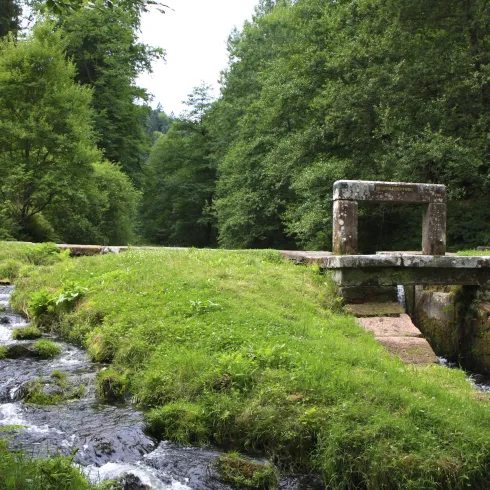 Leinbachtal_0004