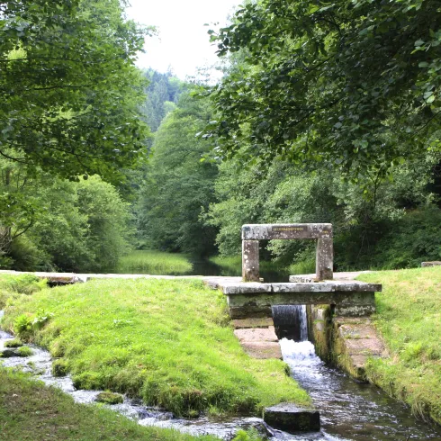 Ein ruhiger Fluss fließt durch eine grüne Landschaft mit Bäumen. Im Vordergrund steht ein kleiner Steindurchlass.