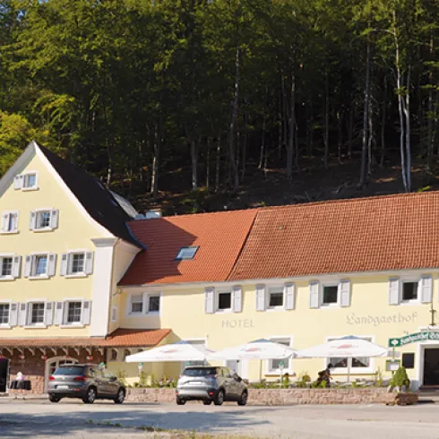 HP_Hausansicht_DSC_4516_bearb-709x375 (1)