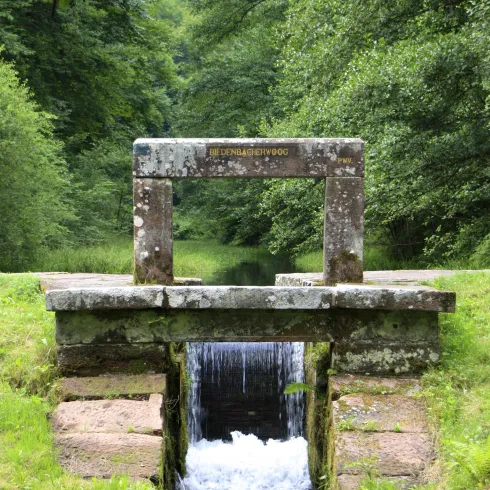 Ein kleiner Wasserlauf fließt durch eine Steinöffnung, umgeben von grüner Natur. Im Hintergrund sind Bäume und eine ruhige Landschaft sichtbar.