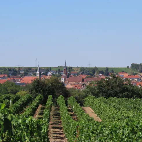 Weisenheim am Sand (© Elke Metzger)