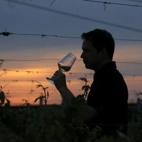 Winzer Thorsten Langenwalter bei Sonnenuntergang zwischen den Weinbergen.