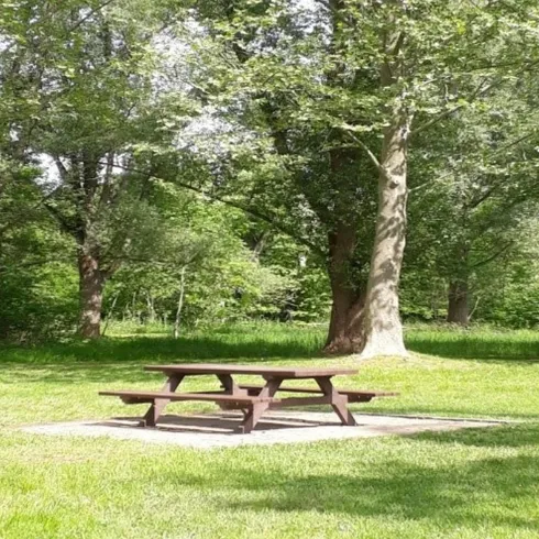 Naherholungsgebiet, Bank mit Tisch (© Birgit Groh)