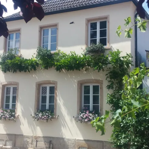 Ein charmantes Haus mit weißen Wänden und grünen Pflanzen vor den Fenstern. Blühende Blumen schmücken die Fensterbänke.