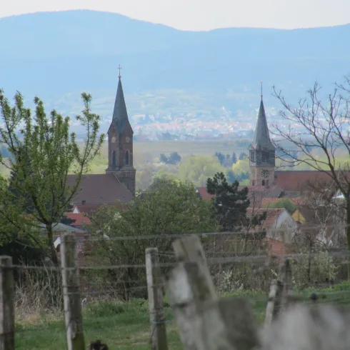 Im Vordergrund sieht man eine Holzzaun und Gebüsch. Im Hintergrund sieht man eine schöne aussicht über Weisenheim am Sand und den zwei Kirchen neben einander.