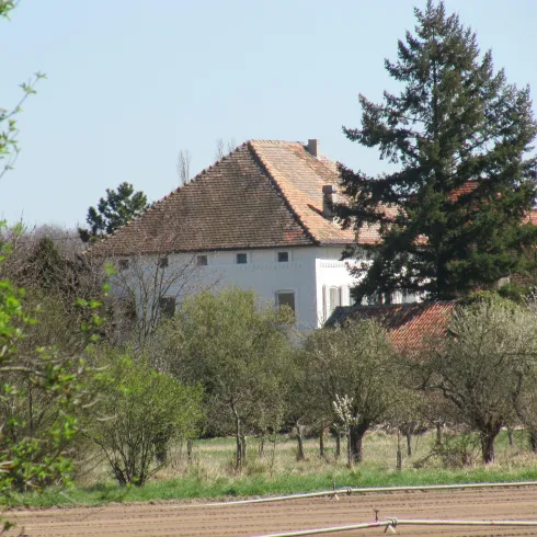 Eine Lanschaft aus Bäumen und Feldern mit einem weißen haus als Hintergrund.