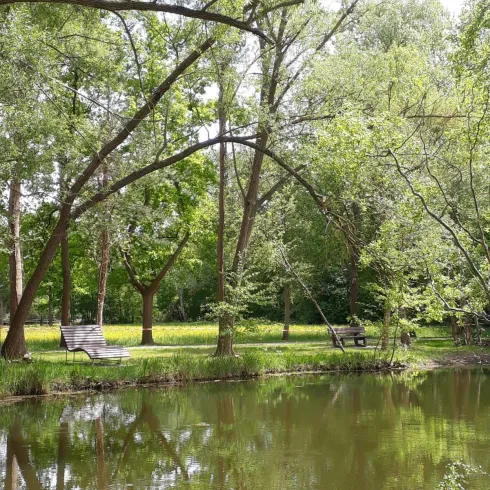 Ruhebank Sandhasenweg 3