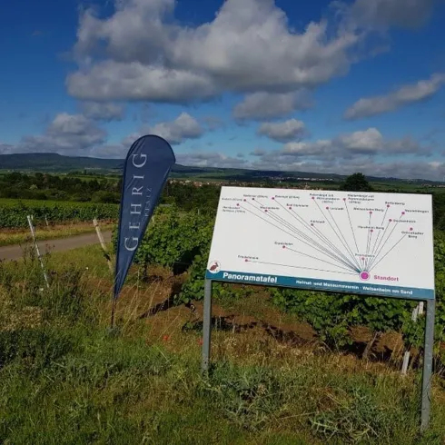 Schautafel der Lage von Weisenheim am Sand mit Pfälzerwald im Hintergrund