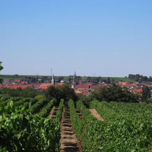 Ortsansicht Weisenheim am Sand (© Urlaubsregion Freinsheim, Fr. Metzger)