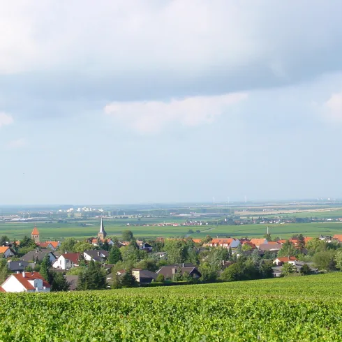 Eine malerische Landschaft mit Weinbergen und einem kleinen Dorf. Im Hintergrund sind sanfte Hügel und ein klarer Himmel zu sehen.