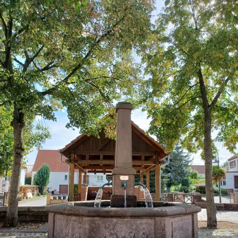 Ein schöner Brunnen steht im Mittelpunkt eines Platzes, umgeben von Bäumen. Im Hintergrund sieht man ein schattiges Pavillon und einige Häuser.