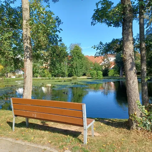 Eine ruhige Parklandschaft mit einem Teich und einer Holzbank. Im Hintergrund stehen hohe Bäume und ein blauer Himmel.