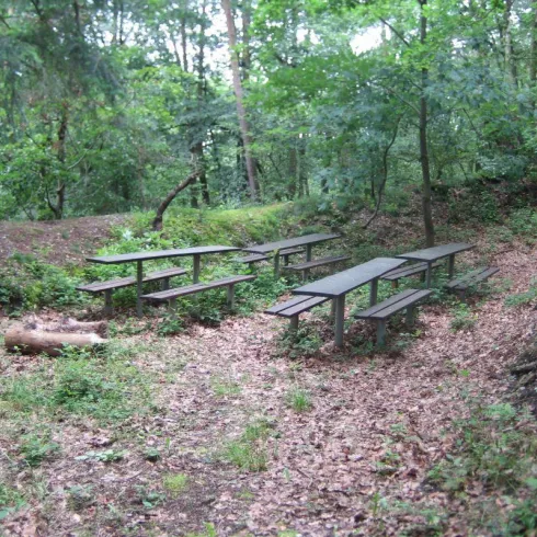 Ein kleiner Platz im Wald mit mehreren Holztischen. Die Umgebung ist grün und mit Laub bedeckt.