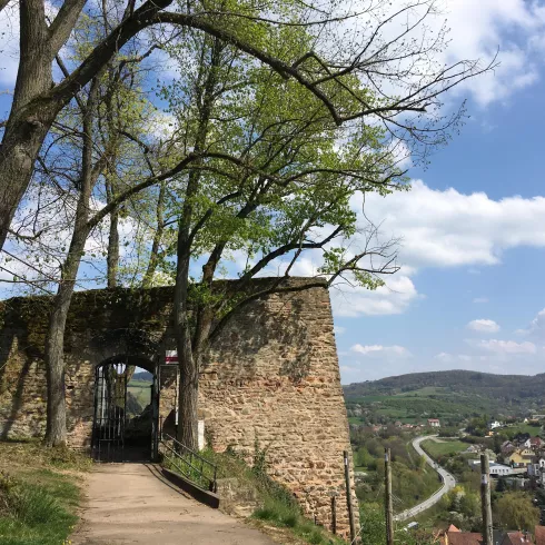 Ruine Neuwolfstein