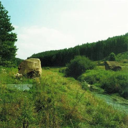 Eine ruhige Landschaft mit grünen Wiesen und Bäumen im Hintergrund. Felsen und Sträucher säumen einen kleinen Bach, der durch das Bild fließt.