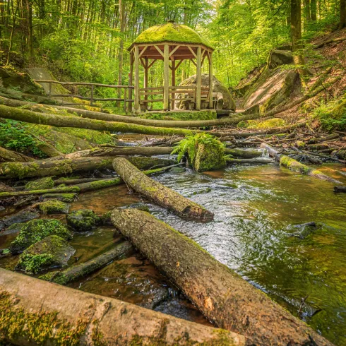 Ein malerisches Waldgebiet mit einem kleinen Bach und umgestürzten Bäumen. Im Hintergrund steht ein hölzerner Pavillon, umgeben von grüner Natur.