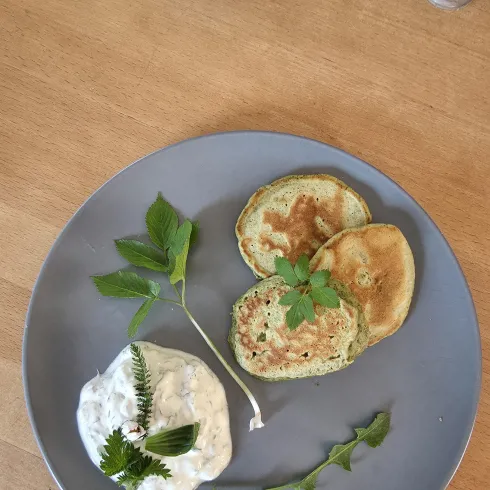 Ein Teller mit drei goldbraunen Pfannkuchen und einer Beilage aus Joghurt. Frische Kräuter dekorieren das Gericht und verleihen ihm eine ansprechende Note.