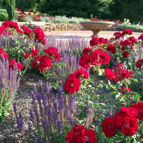 Schlossgarten (© Ute Knieriemen-Wagner)