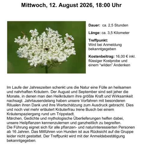 Ein Informationsblatt für einen Wildkräuterspaziergang in Trippstadt. Der Spaziergang umfasst eine Strecke von 3,5 Kilometern und bietet Einblicke in heilende Kräuter.