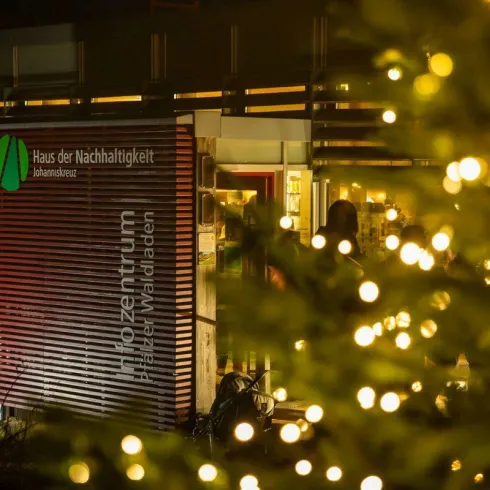Ein Gebäude mit der Aufschrift "Haus der Nachhaltigkeit" ist beleuchtet und umgeben von einem geschmückten Weihnachtsbaum. Es ist Nacht und die Lichter funkeln.