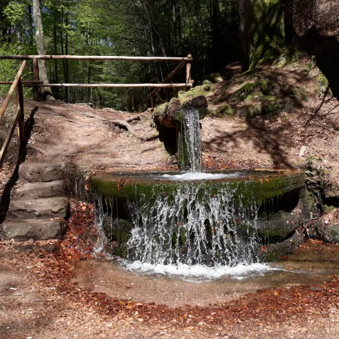 Burgalbsprung (© TI Landstuhl)