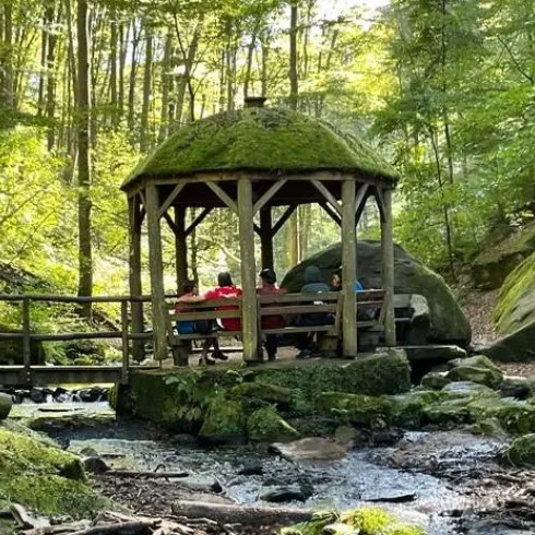 Ein schöner Pavillon inmitten eines waldreichen Gebiets. Wasser fließt sanft um die Felsen und schafft eine ruhige Atmosphäre.