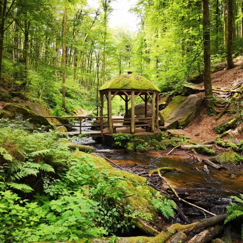 Ein malerischer Wald mit üppigem Grün und einem klaren Bach. Im Vordergrund steht eine kleine, überdachte Holzstruktur.