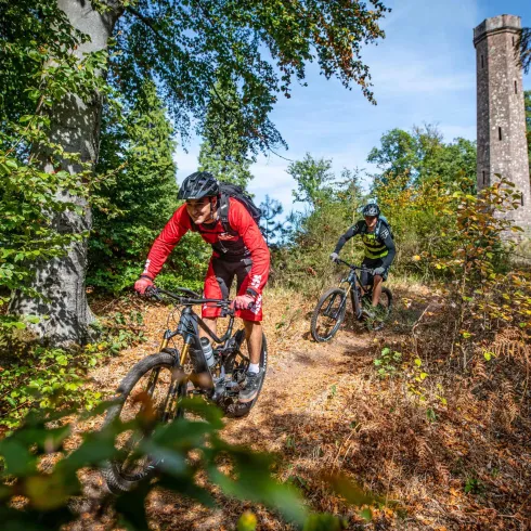 Zwei Radfahrer fahren auf einem Waldweg. Im Hintergrund ist ein hoher Turm und die Umgebung ist farbenfroh und grün.