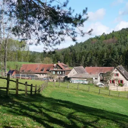 Meiserhof (© Stephan Marx)