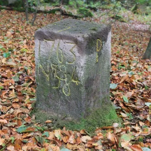 Grenzsteine am Preußensteig in Pfeffelbach