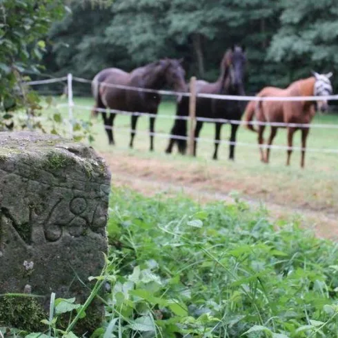 Grenzsteine am Preußensteig