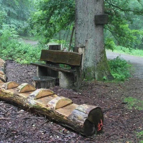 Eine Holzbank steht unter einem Baum im Wald. Neben der Bank liegt ein dicker Holzstamm auf dem Waldboden.