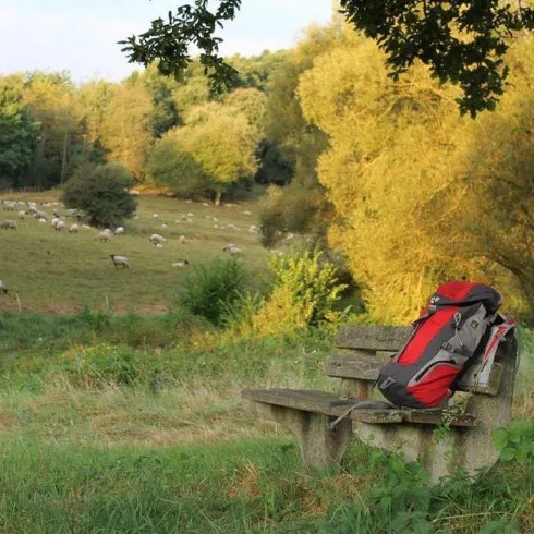 Preußensteig - Ruhebank (© FVZV Pfälzer Bergland)