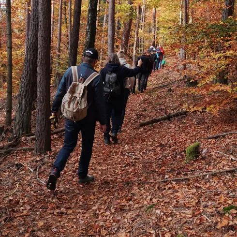 Eine Gruppe von Wanderern bewegt sich auf einem schmalen Pfad durch einen herbstlichen Wald. Die Bäume sind mit buntem Laub bedeckt, und der Boden ist mit trockenen Blättern gefüllt.