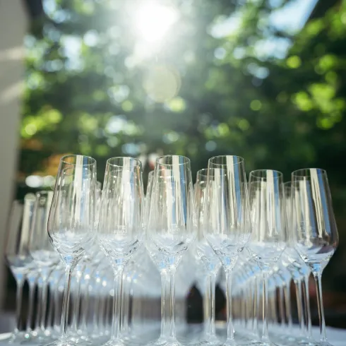 Eine Gruppe von eleganten Sektgläsern steht auf einem Tisch. Im Hintergrund ist ein sonniger Garten mit grünem Laub zu sehen.