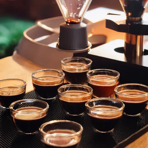 Cupping Web (© Meisenheimer Kaffeerösterei)