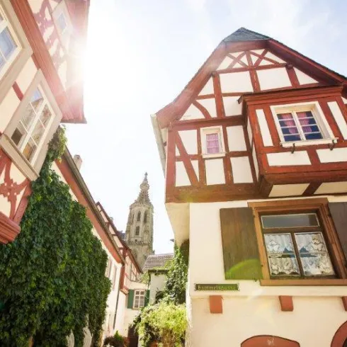 Ein malerischer Blick auf Fachwerkhäuser in einer engen Gasse. Die Sonne scheint und grüne Pflanzen schmücken die Wände.