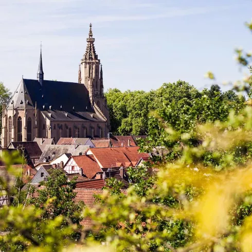 Schlosskirche Meisenheim (© Ferienregion Nahe-Glan | Moritz Attenberger)