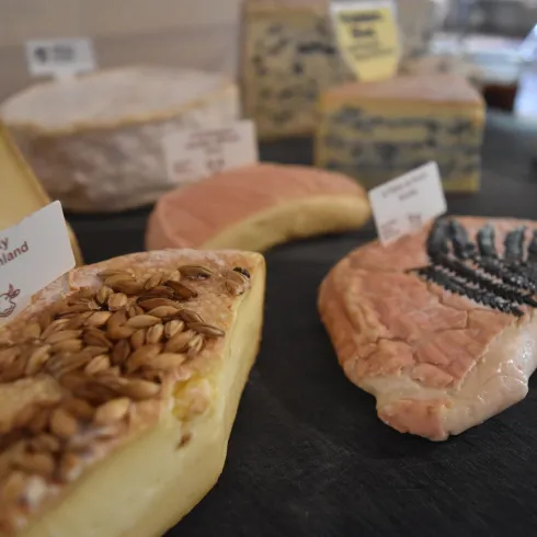 Veranstaltungen_MeisenheimerHof_KaeseWein Veranstaltungen_MeisenheimerHof_KaeseWein