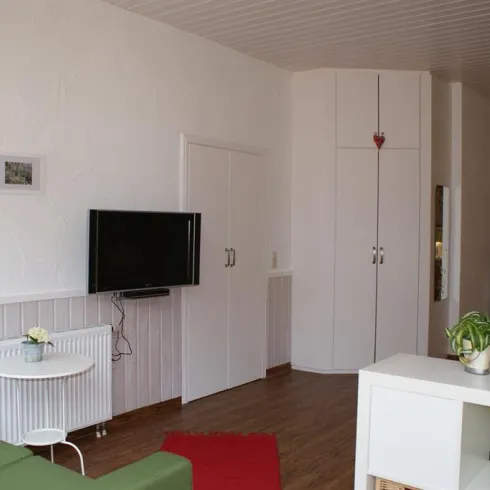 Ein helles Wohnzimmer mit grüner Couch und Fernseher. Es gibt einen weißen Tisch und einen großen Schrank im Hintergrund.